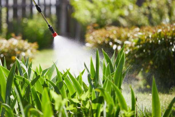 24/7 Emergency Ant Control experts in Soldotna, AK